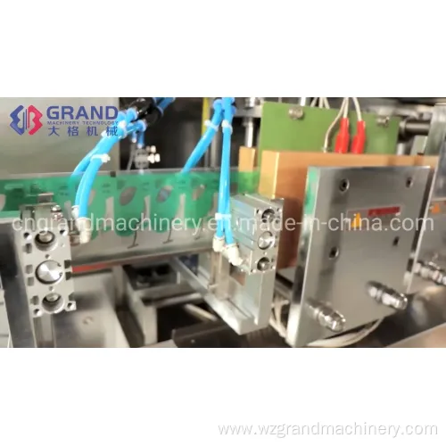 2021 New Type Olive Oil Filling and Packing Machine Plastic Bottle Forming Ggs-240